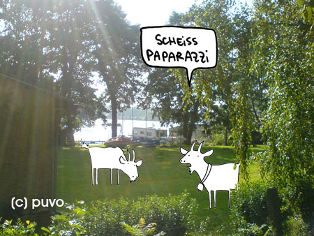 Paddelurlaub mit Faltboot - Collage von puvo productions