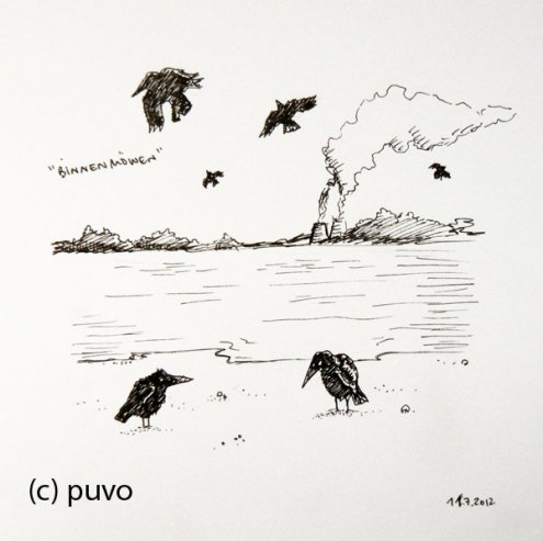 Binnenmöwen im Leipziger Umland. Scribble von puvo productions