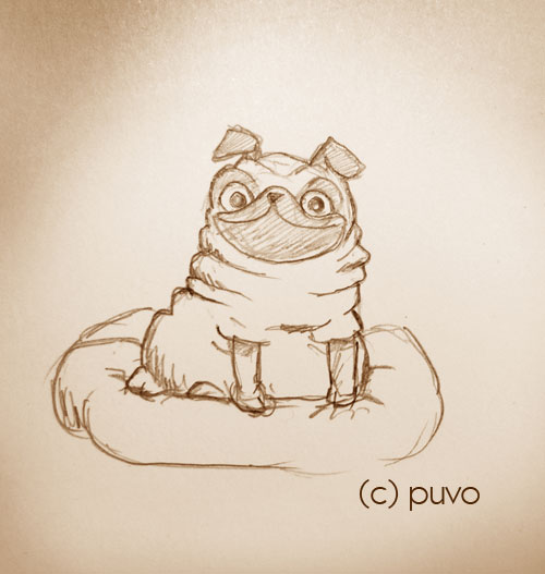 Mops. Studie von puvo productions