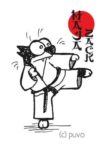 Karate-Katze