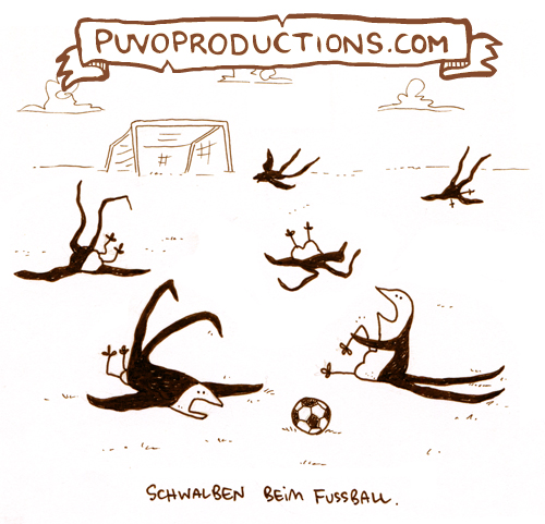 Schwalbenfußball.