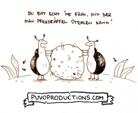 Pferdeäpfel.