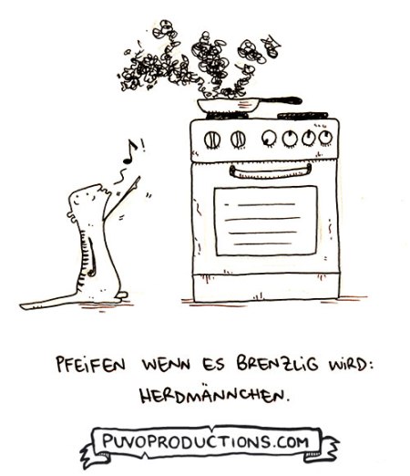 Herdmännchen.