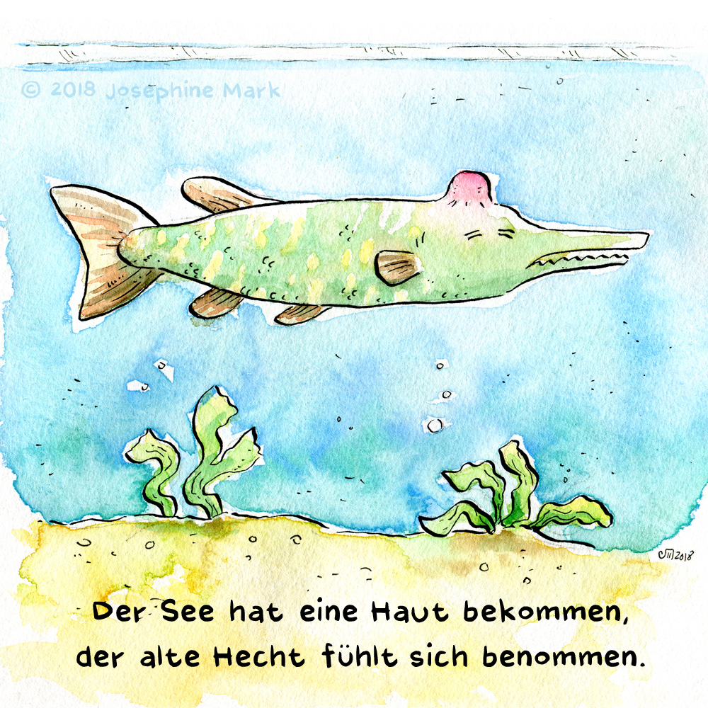 Adventskalender 2018 von puvo productions. Türchen #3